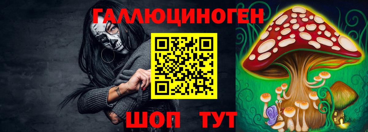 Галлюциногенные грибы Psilocybe Саранск